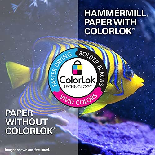 Hammermill Copy Plus 8.5-Inch x 11-Inch Copy Paper, 20 lbs., 92 Bright, 500 Shts/RM, 3RM/CT (105040)