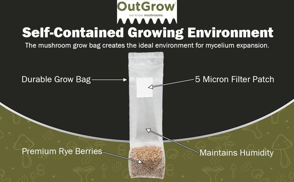 Six 1 Pound Bags of Sterilized Rye Berries Substrate in Mushroom Grow Bags