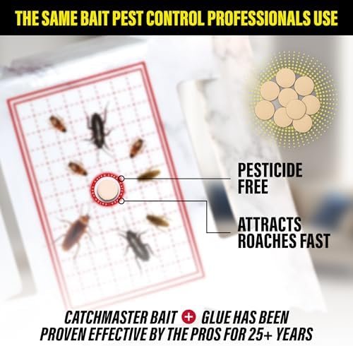 Catchmaster Max-Catch Mouse & Insect Glue Trap 72pk, Mouse Traps Indoor for Home