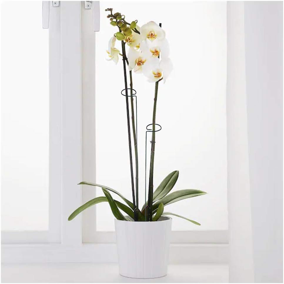 10 Pieces 24 inch Green Single Stem Plant Stakes Flower Support Rings,Gardening Planter Cages for Single Stem Flowers, Amaryllis, Peony, Lily,Narcissus