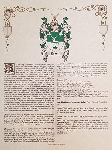 Mr Sweets Sinex - Coat of Arms, Crest & History 3 Print Combo - Surname Origin: English England