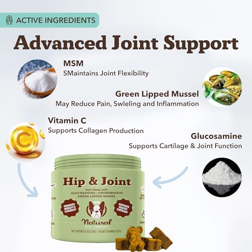 Natural Dog Company Liquid Glucosamine Hip & Joint Oil for Dogs, 16 oz, Extra Strength Cartilage & Joint Support, Helps Mobility and Eases Occasional Stiffness, Dog Vitamins & Supplements