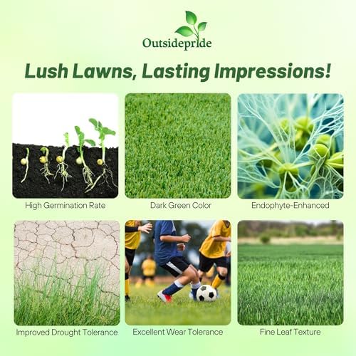 Outsidepride Fireball & Hattrick Rye Grass Seed Blend - 5 Lbs. Wear Tolerant, Fine Leaf Texture Perennial Rye Grass Seeds for Lawn, Sports Turf & More, OptiGrowth Coated for Better Establishment