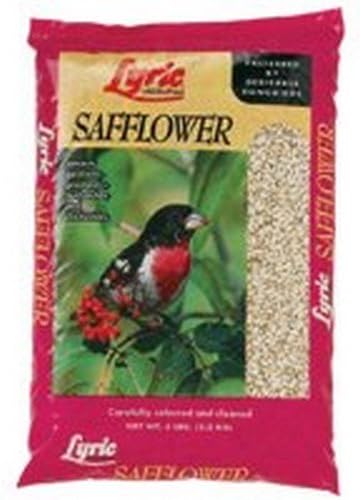 Lyric Assorted Species Wild Bird Food Safflower Seeds 5 lb.