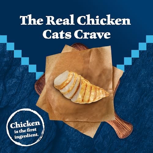 Blue Buffalo Wilderness Chicken Adult Indoor Dry Cat Food, Grain-Free, 5 lb | High Protein, Real Chicken #1 Ingredient