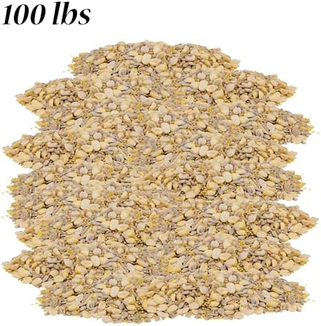 BestNest Wild Bird Seed Mix, Waste Free Blend, 100 lbs.