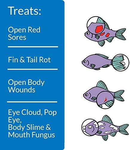 API MELAFIX Freshwater Fish Bacterial Infection Remedy 64-Ounce Bottle