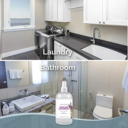 SMELLS BEGONE Air Freshener Home & Linen Spray - 16 oz, Pack of 2 - Odor Eliminator - Made with Essential Oils (Lavender)