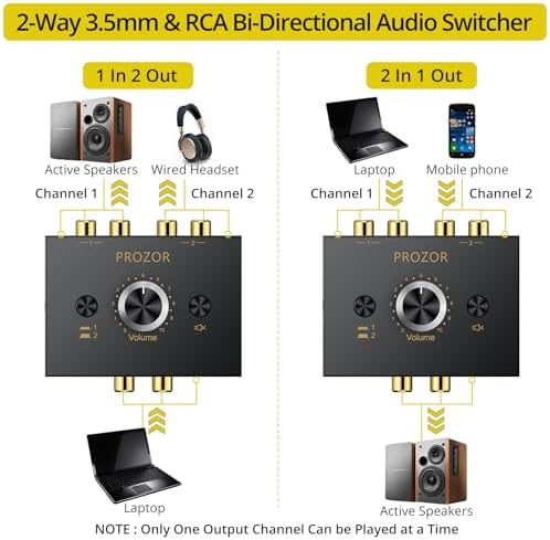 PROZOR RCA Stereo Audio Switcher - 2 in 1 Out R/L Stereo Audio Switch