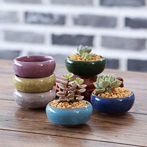 Succulent Plant Pot, 12 Pcs 2.5 Inch Ceramic Ice Crack Cactus Plant Pot/Flower Pot/Container/Planter