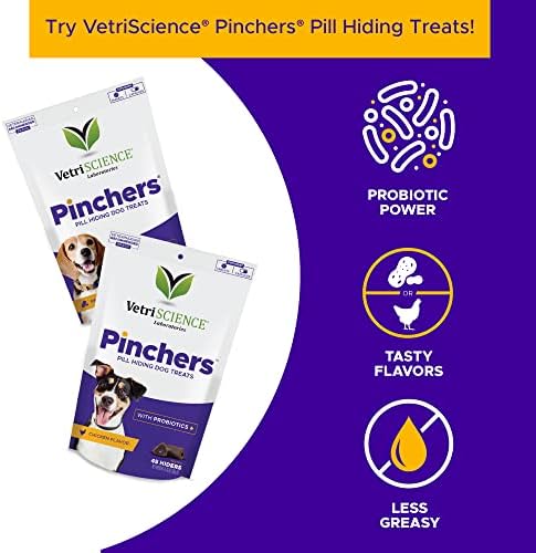 VetriScience Kidney Health Chewable Tablets for Dogs - Renal Essentials Support Supplement with Astragalus, Rehmannia, Nettle Seed & Cordyceps