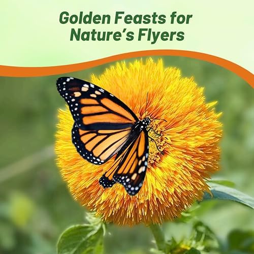 Outsidepride Giant Sungold Sunflower Seeds for Planting - 500 Pcs Annual, Easy to Grow Flower Seeds w/Vibrant