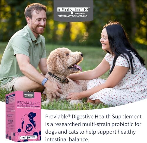 Nutramax Proviable Probiotics + Prebiotics, for Dogs & Cats, Capsules, 80ct | Probiotics and Prebiotics for Cats and Dogs, Daily Gut Health Support Supplement, Multiple Strains, Sprinkle on Food