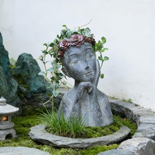 Newman House Studio Face Cactus Succulents Planter Pot - Indoor Outdoor Planter with Drainage Hole Garden Statues Cute Plants Pot Flower Pot