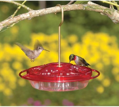 Aspects 382 HummZinger Little Fancy Feeder, 8-Ounce, Small