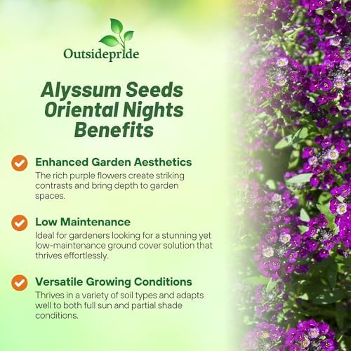 Outsidepride Oriental Nights Alyssum Seeds - 5000 Pcs Annual, Drought-Tolerant & Pollinator-Friendly Ground Cover Seeds w/Fragrant Honey Blooms for Low-Growing Xeriscaping & Outdoor Planting