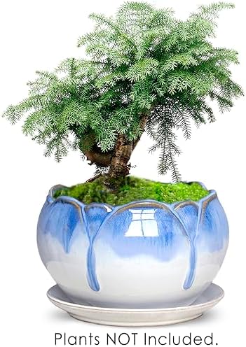 Dahlia 8.3'' Inch Large Shallow Drip Glazed Ceramic Planter/Succulent Pot/Plant Pot, Green