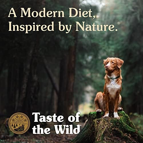 Taste of the Wild Pacific Stream Wet Food Salmon in Gravy 13.2oz Case of 12 | Puppy & Adult Dogs | Grain Free Recipe* | Complete & Balanced to Satisfy Finicky Dogs | Sweet Potatoes for All Day Energy
