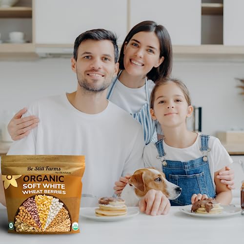 Organic Soft White Wheat Berries 5.8lb - Healthy Whole Grains Bulk | Ideal for Feeder Oats, Flour, Bread, Soup - High in Protein & Fiber - USA Grown | USDA Certified | Vegan | Non-GMO