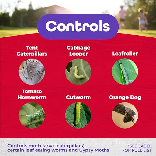 Bonide Thuricide BT Concentrate, 16 oz Ready-to-Mix Solution for Caterpillar, Worm and Moth Control in Home Garden | Ready-to-Mix Solution