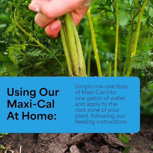 Grow More Maxi-Cal (10-0-0) - 16oz of USA-Made Calcium Nitrate Fertilizer - Provides Nitrogen & Liquid Calcium for Plants, Fruits