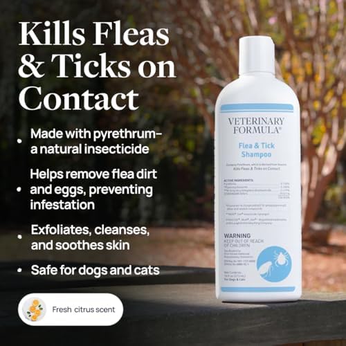 Veterinary Formula Flea and Tick Shampoo for Dogs and Cats, 16 oz