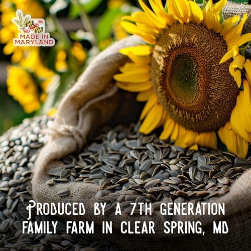 Ernst Grain & Livestock Black Oil Sunflower Seeds - Birdseed for Outside Feeders Wild Bird Food - Ideal Bird Seed for Cardinals