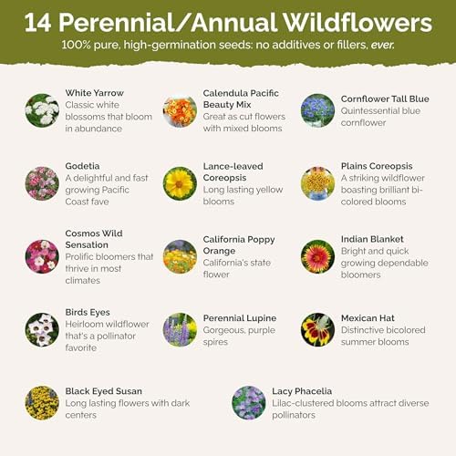 Eden Brothers The Bees Knees Pollinator Wildflower Seed Mix, 1/4 lb (135,000+ Seeds) Throw and Grow - 100% Pure, No Fillers - 18-Variety Non-GMO Annual + Perennial, Covers up to 1,100 SqFt, Zones 3-10