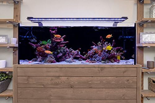Current USA 24-36" Inch Orbit Marine LED Saltwater Reef Marine Aquarium Light | 24 Hour IR Lighting & eFlux Wave Pump Control | Adjustable Color Spectrum for Fish Tank (4101)