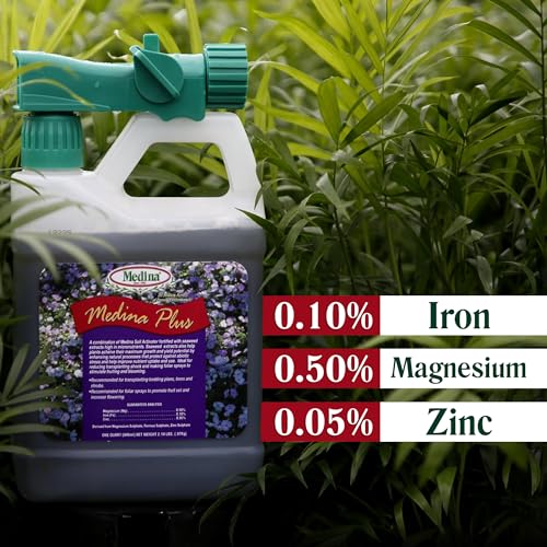 Medina Plus Soil Activator - Liquid Soil Loosener for Lawns & Gardens - Micronutrient-Rich Soil Conditioner & Softener - Used with House Plant Fertilizer, Liquid Plant Food for Houseplants - 1 End Qt
