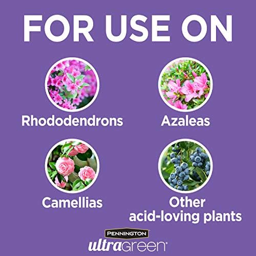 Pennington 100525940 UltraGreen Azalea, Camellia & Rhododendron 10-8-6 Plant Food, 5 lb