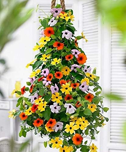 25 Heirloom Flower Seed Packets for Planting: 20+ Varieties Flower Seeds - Forget Me Not, Sunflower, Marigold, Zinnia Lilliput, Snapdragon