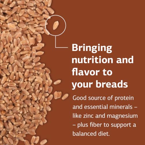 Royal Lee Organics Organic Hard Red Wheat Berries 10 lb bag