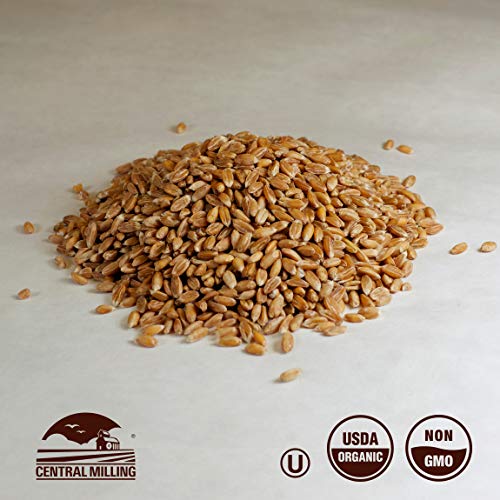 100% Organic Hard Red Spring Wheat Berries- 25 lbs