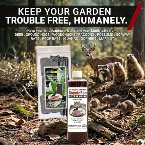 PredatorPee 100% Coyote Urine Natural Predator Scent Made in USA
