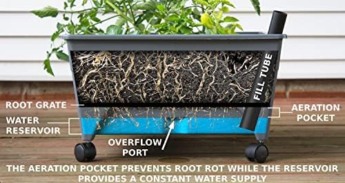 Emsco Group City Picker Raised Bed Grow Box – Self Watering and Improved Aeration – Mobile Unit with Casters - Slate