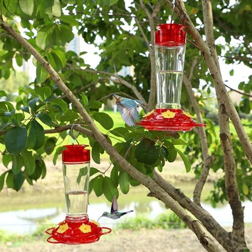 Shrdaepe Hummingbird Feeder, Glass Bottle Bird Feeders, 5 Feeding Ports, 10-Ounce Nectar Capacity