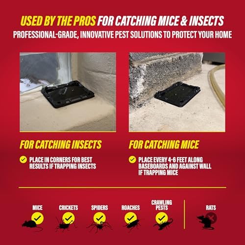 Catchmaster-16 Mouse & Insect Glue Traps, Heavy-Duty Pesticide-Free Sticky Mouse Traps Indoor for Home, Used by the PROs