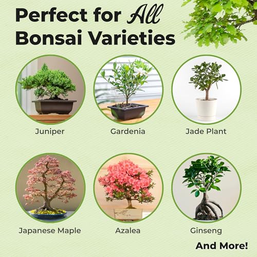 Perfect Plants Bonsai Fertilizer Pellets, 5 oz, Slow Release Tree Food