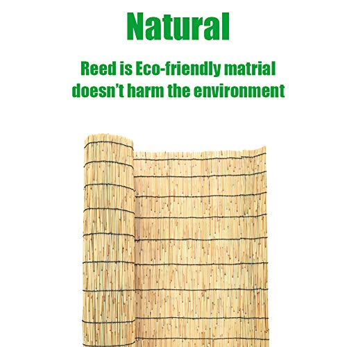 Mininfa Natural Reed Fencing, Eco-Friendly Reed Fence, 6 feet High x 13 feet Long, Reed Screen for Garden, Privacy