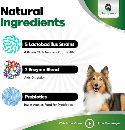 Probiotics for Dogs Digestive Health - Dog Probiotics and Digestive Enzymes - Allergy Relief for Dogs - Probiotic for Dogs Gut Health - Puppy Probiotic Tummy Treats - 120 Dog Probiotic Chews | Gut Health, Allergy and Immune, 4B CFU, 5 Strains, Chicken Fl…