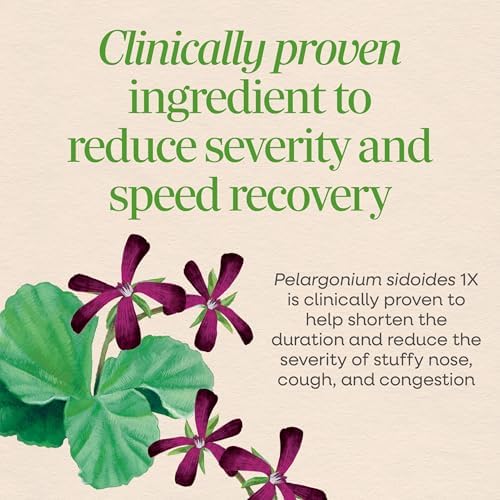 Nature's Way Umcka Allergy & Sinus Relief Chewables, Cherry, 20 ct | Non-Drowsy, Homeopathic, Allergy Relief for Sinus Pressure, Congestion