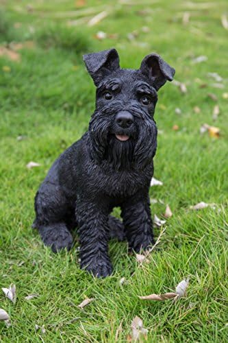 Hi-Line Gift Ltd 87983S-BK Black Schnauzer Garden Statue