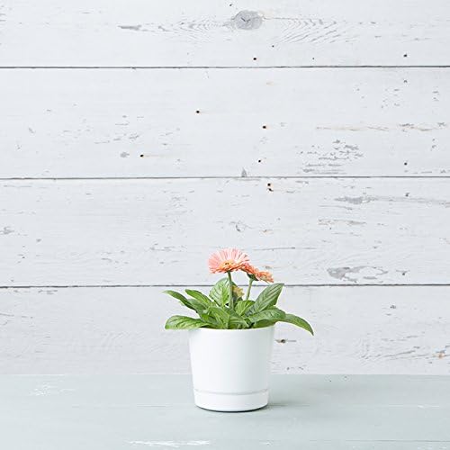 Novelty Majestic Full Depth Round Cylinder Pot, Glossy White, 8-Inch (10082)
