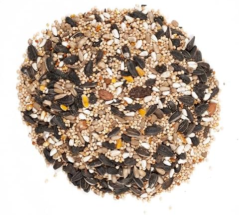 Wagner's 62034 Greatest Variety Blend Wild Bird Food, 6-Pound Bag