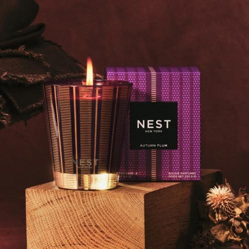 NEST New York Scented Classic Candle, Pumpkin Chai - 8.1 oz - Up to 60-Hour Burn Time - Reusable Glass Vessel