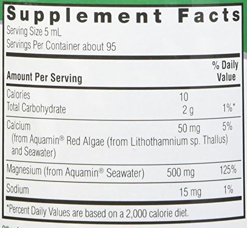 Nature's Answer Marine Based Magnesium, Super Concentrated 500mg | Plant Based | Red Algae & Seawater Derived | Alcohol-Free & Gluten-Free | Vegetarian Capsules 90ct