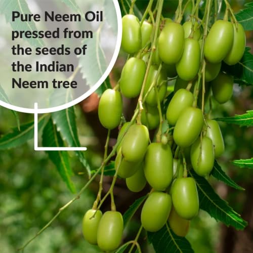 SUPERthrive Organic Pure Neem Oil, Cold-Pressed, Concentrate, 32 oz | 100% cold pressed & filtered. No additives, biodegradable. For leaf polish and plant care.