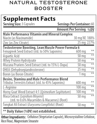 Testosterone Libido Booster Supplement for Men