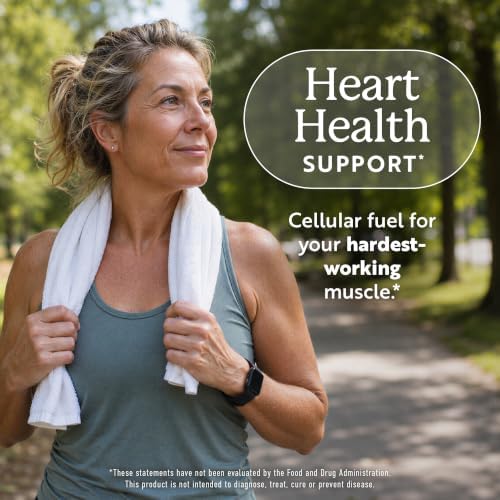 CoQ10 100mg Softgels, Heart Health Support, 8 Month Supply, High Absorption | Coenzyme Q10 for Energy Levels & Vitality Support, Co Q 10 Supplement